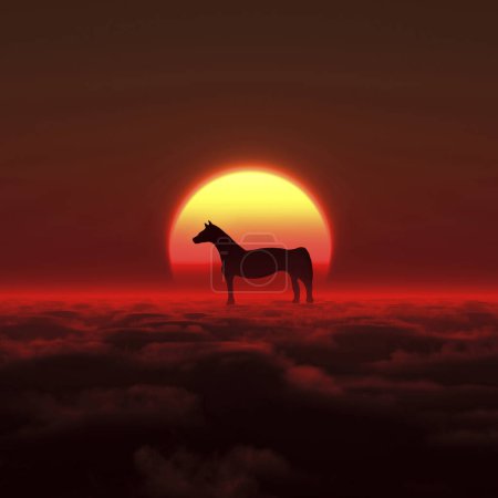Photo for Black silhouette of horse on sunset background - Royalty Free Image