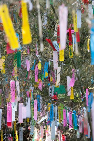 Photo for Tree branches decorated with colorful ribbons, daytime view of holiday decoration - Royalty Free Image