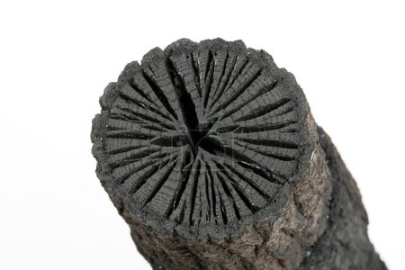 negro Carbón de leña natural sobre fondo, de cerca