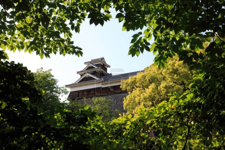 Foto de Castillo Kumamoto-jo, Kumamoto, Japón - Imagen libre de derechos