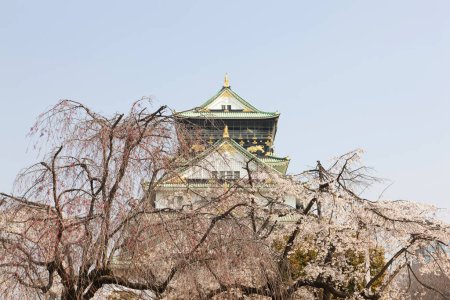 Téléchargez les photos : Plan panoramique de la magnifique tour du château d'Osaka, Japon - en image libre de droit