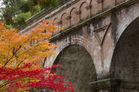 Téléchargez les photos : Beautiful autumn in the forest with brick bridge - en image libre de droit