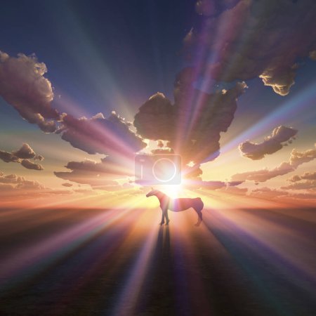 Téléchargez les photos : Silhouette noire de cheval sur fond de coucher de soleil - en image libre de droit