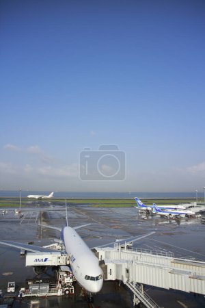 Foto de Aviones internacionales en aeropuerto, vista diurna - Imagen libre de derechos