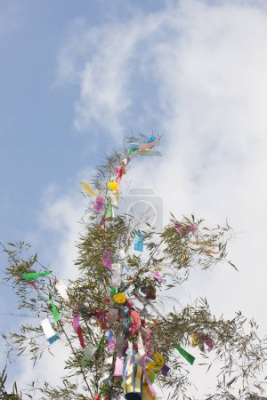 Photo for Tree branches decorated with colorful ribbons, daytime view of holiday decoration - Royalty Free Image