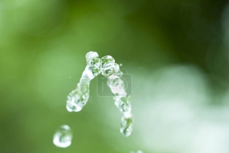 Photo for Fresh water drops with blurred green background, nature background - Royalty Free Image