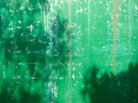Foto de Verde pintura vieja pared fondo textura. textura de madera vieja - Imagen libre de derechos