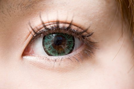 Photo for Beautiful female eye with green contact lens  close - up - Royalty Free Image