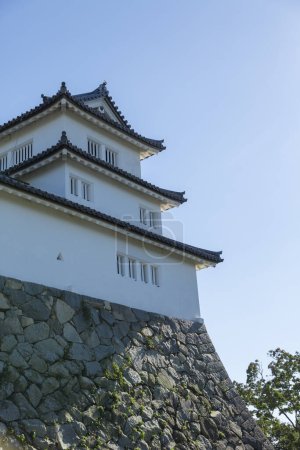 Téléchargez les photos : Un sanctuaire historique situé au sommet d'une montagne dans la région d'Hikone, le japonais Shiga Ken, qui est entouré d'igai, et est maintenant un musée historique au Japon. - en image libre de droit