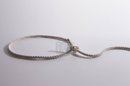 Téléchargez les photos : Gros plan de corde blanche avec boucle sur fond blanc - en image libre de droit