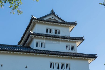 Ein historischer Schrein auf einem Berg im Hikone-Gebiet, der von Igai umgebene japanische Shiga Ken, der heute ein historisches Museum in Japan ist.