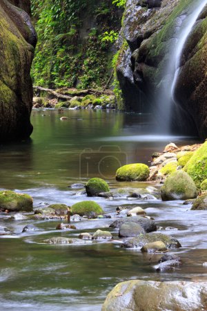 Téléchargez les photos : Belle vue sur un petit ruisseau rapide et des pierres couvertes de mousse - en image libre de droit