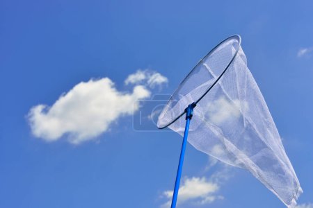 Photo for Butterfly net against blue sky background - Royalty Free Image