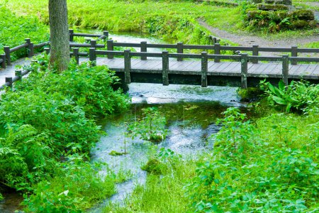 Téléchargez les photos : Jardin japonais avec lac - en image libre de droit