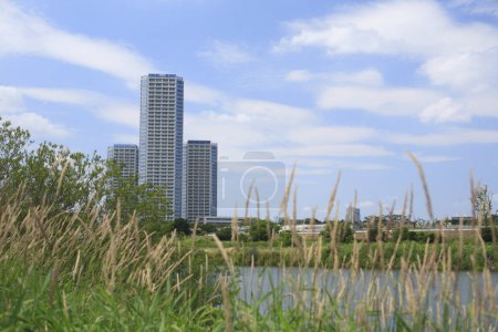 view of green plants, river and Futako Tamagawa Rise Tower and Residence, Tokyo, Japan 