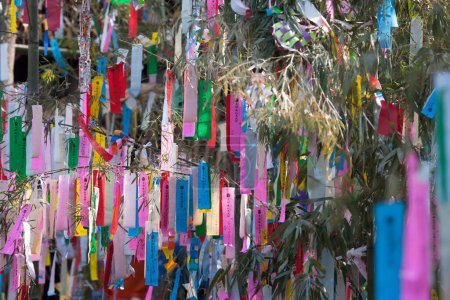 Téléchargez les photos : Branches d'arbres décorées avec des rubans colorés, vue de jour de la décoration de vacances - en image libre de droit