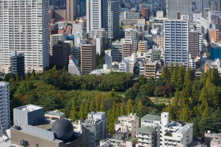 Téléchargez les photos : Tokyo vue sur les toits de la ville pendant la journée au Japon - en image libre de droit