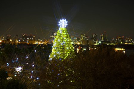Téléchargez les photos : Arbre de Noël dans la ville - en image libre de droit