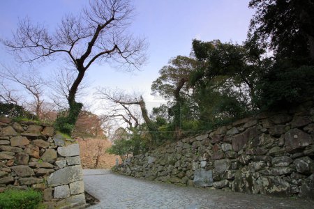 muro de piedra en un pueblo japonés