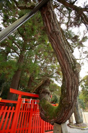 Foto de Vista fascinante de un antiguo santuario japonés - Imagen libre de derechos