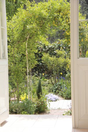 Téléchargez les photos : Belle arche florale de plantes vertes et fleurs jaunes dans le jardin en face de la maison blanche - en image libre de droit