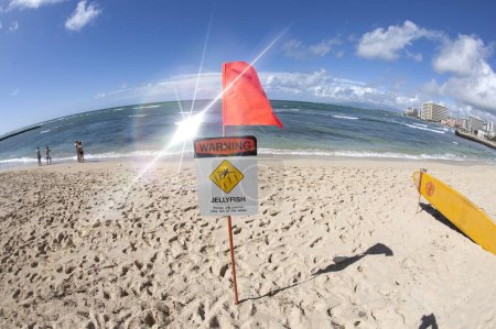 Photo for Lifeguard sign in miami beach - Royalty Free Image