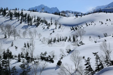 Foto de Paisaje de montaña en invierno - Imagen libre de derechos