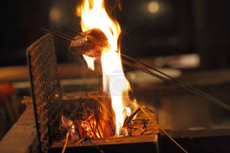 Foto de Deliciosa carne a la parrilla en el fuego en el fondo, de cerca - Imagen libre de derechos