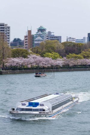 Photo for Cherry blossom along the river in Japan - Royalty Free Image