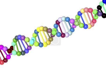 Téléchargez les photos : Structure moléculaire de l'ADN isolé sur fond blanc - en image libre de droit