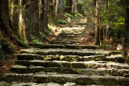 Téléchargez les photos : Célèbre sentier Daimonzaka à l'intérieur de la forêt de cyprès géante, menant aux chutes de Nachi, Japon - en image libre de droit
