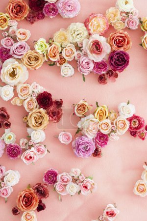 Téléchargez les photos : Belles roses sur fond rose. vue de dessus - en image libre de droit