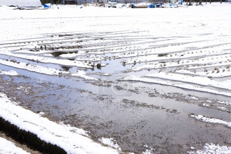Téléchargez les photos : Champ couvert de neige en hiver - en image libre de droit