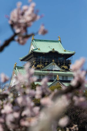 Téléchargez les photos : Château osaka avec les fleurs de cerisier au printemps - en image libre de droit