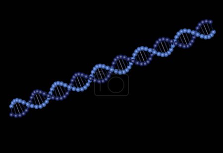 Téléchargez les photos : Structure moléculaire de l'ADN isolé sur fond noir - en image libre de droit