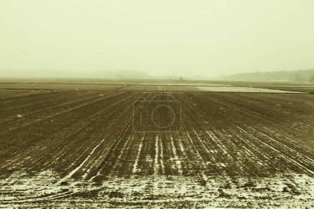 Foto de Hermoso paisaje de campos en invierno - Imagen libre de derechos
