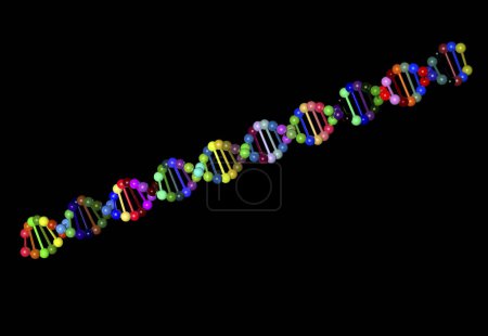 Téléchargez les photos : Structure moléculaire de l'ADN isolé sur fond noir - en image libre de droit