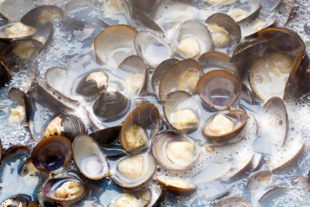 Photo for Clams cooked in oil, closeup - Royalty Free Image