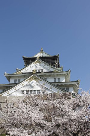 Photo for Scenic shot of beautiful famous Osaka castle tower, Japan - Royalty Free Image