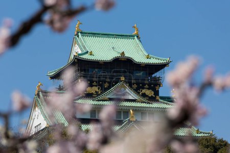Photo for Osaka castle with the cherry blossoms in spring - Royalty Free Image