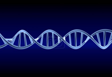 Téléchargez les photos : Structure moléculaire de l'ADN isolé sur fond bleu - en image libre de droit