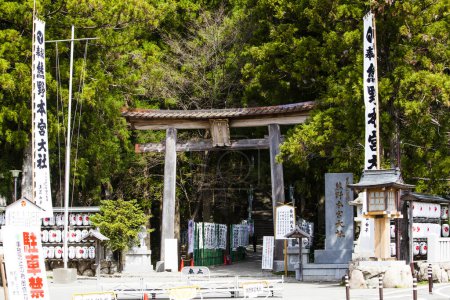 Téléchargez les photos : Vieille porte Torii en forêt au Japon - en image libre de droit