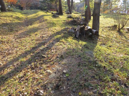Téléchargez les photos : Collines forestières couvertes de feuilles d'automne - en image libre de droit
