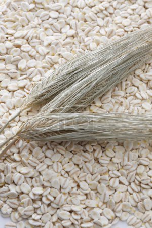 Photo for Raw pressed organic oats and ears on background, close up - Royalty Free Image