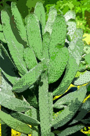 Photo for Closeup of cacti plant, color image - Royalty Free Image
