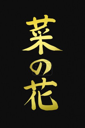 Téléchargez les photos : Hiéroglyphes japonais dorés sur fond noir - en image libre de droit