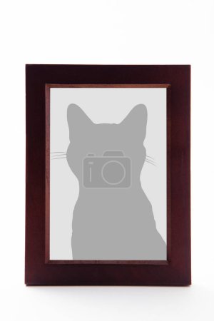 Family pet cat portrait in a wooden frame