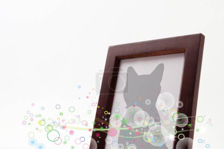 Photo for Family pet cat portrait in a wooden frame - Royalty Free Image