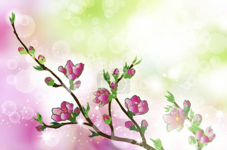 Foto de Ramas de cerezo con flores rosadas sobre fondo colorido - Imagen libre de derechos
