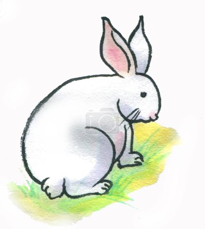 Foto de Lindo conejo acuarela aislado sobre fondo blanco - Imagen libre de derechos